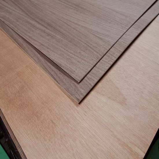 I produttori vendono all'ingrosso sedia in vero legno sedia a dondolo sedia per bambini (M-X3659)